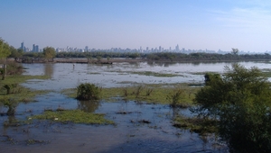 1d  Buenos Aires _Delta, Tigre _half vlottende eilandjes in de bo