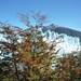 2c Los Glaciares NP _Perito Moreno gletsjer  _P1050531