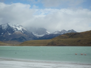 3b Torres del Paine NP  _omg  _Laguna Amarga _P1050731