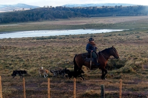 3x Puerto Natales__Punta Arenas _ gaucho _DSC13 (07)