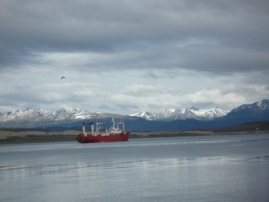 5c Beagle kanaal cruise -Ushuaia _P1060030