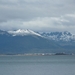 5g Isla Martillo   pinguin eiland _omg.  _Puerto Williams _P10600
