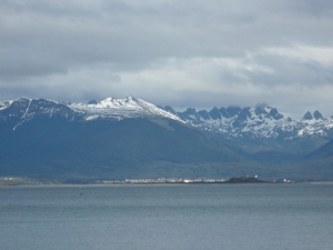 5g Isla Martillo   pinguin eiland _omg.  _Puerto Williams _P10600