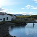 5g Isla Martillo   pinguin eiland _omg. _Estancia Harbeston  _P10