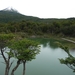 5m Tierra Del Fuego NP -Bahia La Patia -omg. _Chiligrens _P105044
