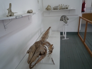 5p Ushuaia _gevangenis museum _museo de Los Presidios _P1060219