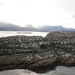 5c Beagle kanaal cruise _Isla Casco _Cormorants _EV3