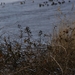 DSC03911a