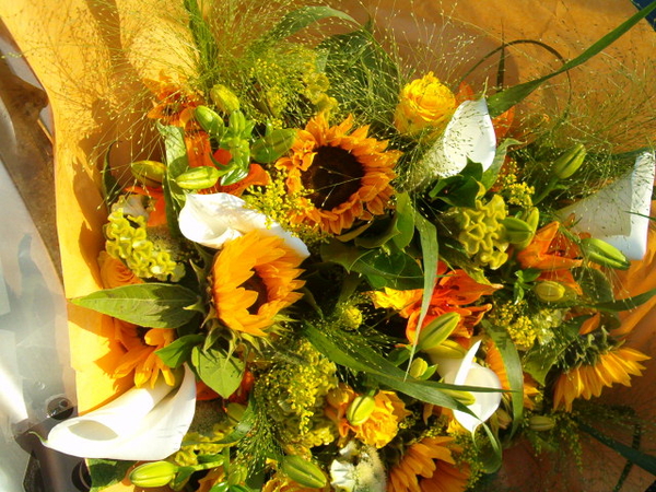 siergras,zonnebloemen,lelies,chrysanten,rozen