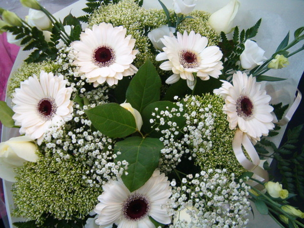 gipskruid,gerbera,lysianthus