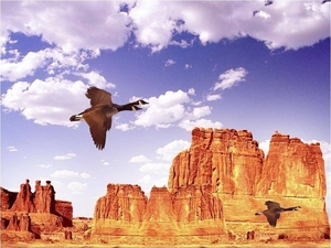 Gier boven de rockys