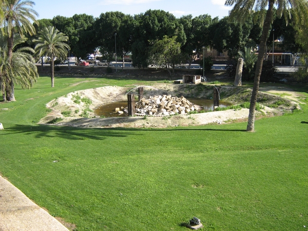 Paphos-Cyprus 15-01-2010 125