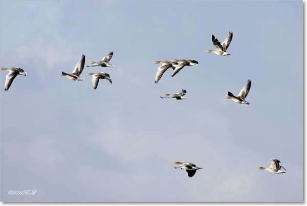 sized_Afbeelding 125