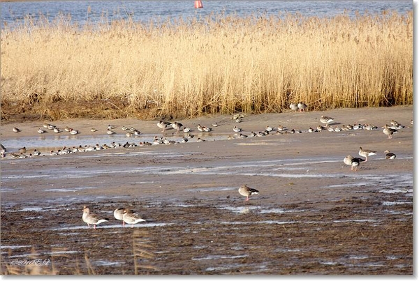 sized_Afbeelding 140