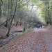 falkenauel 2009 (9) (Small)