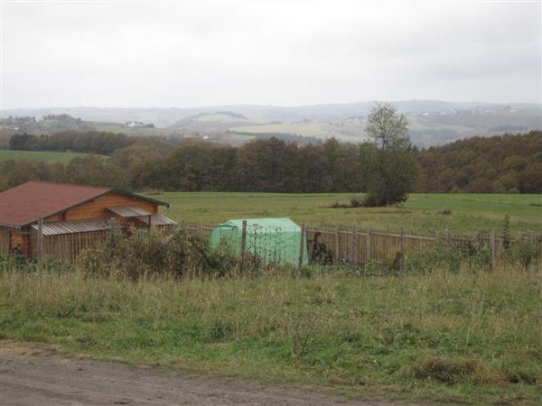 falkenauel 2009 (32) (Small)