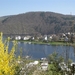 woffelsbach2010 (11) (Small)