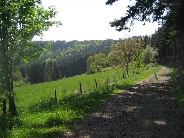 mohrweiler 2010 (5) (Small)