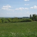 mohrweiler 2010 (10) (Small)