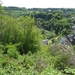 mohrweiler 2010 (23) (Small)