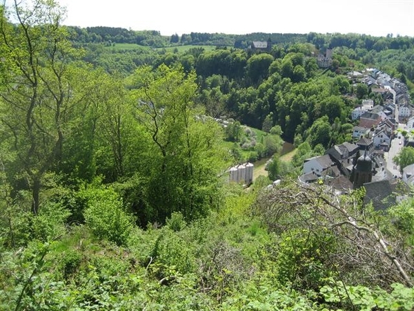 mohrweiler 2010 (23) (Small)