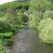 mohrweiler 2010 (37) (Small)