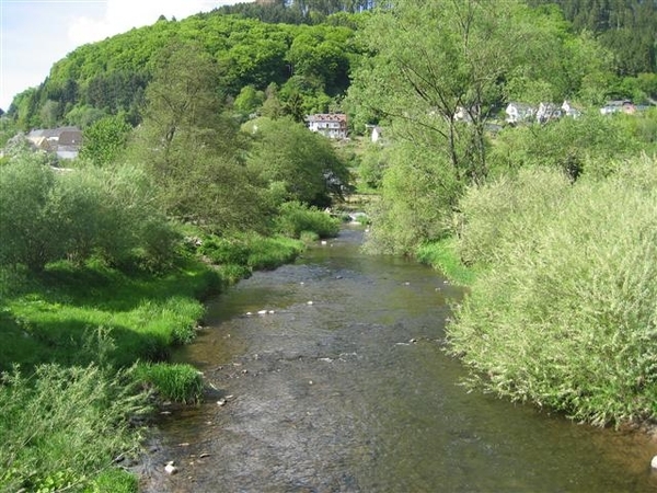 mohrweiler 2010 (37) (Small)