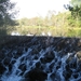 Daleiden 2010 (10) (Small)