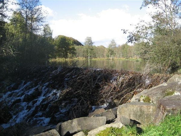 Daleiden 2010 (11) (Small)