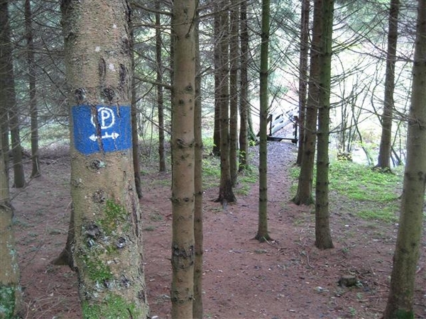 Falkenauel 2010 (6) (Small)