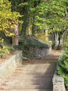 Neuerburg 2011 (38)