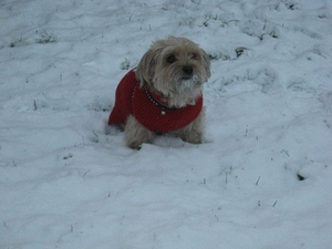 Pim in de sneeuw
