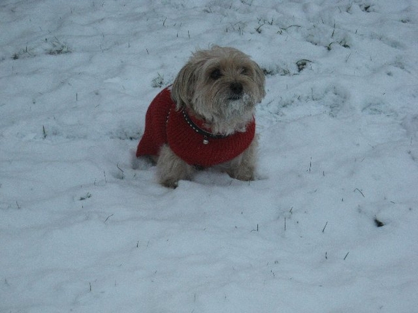 Pim in de sneeuw