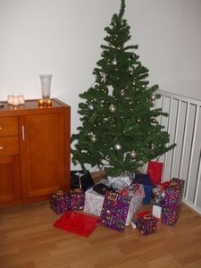 Kerstboom