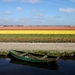 Keukenhof Nederland