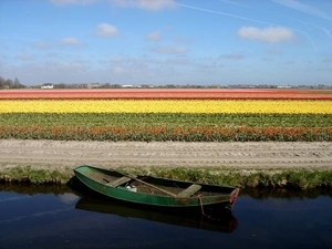 Keukenhof Nederland