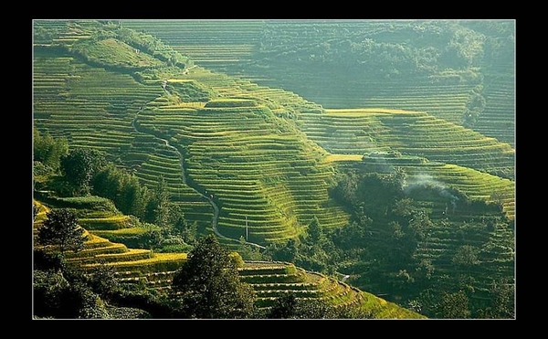 Terraced hillside, LongLi