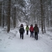 Een wandelingetje door het bos