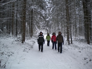 Een wandelingetje door het bos