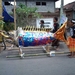 FOTO1 (1203)