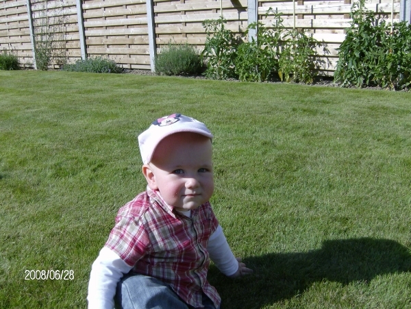 herstelling fotobestanden 131