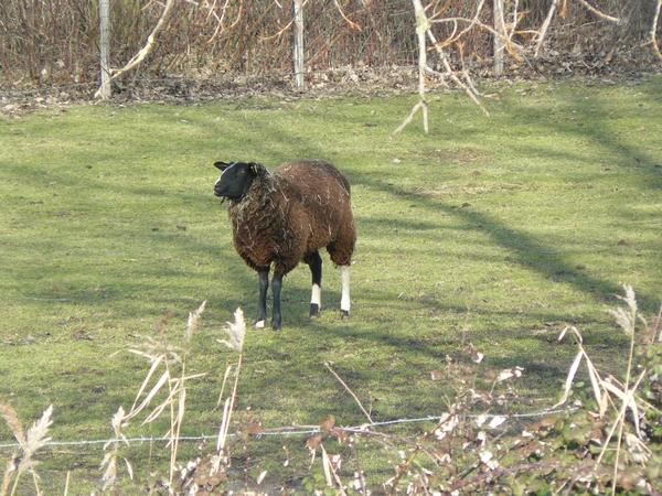 Andere kant dorp 015