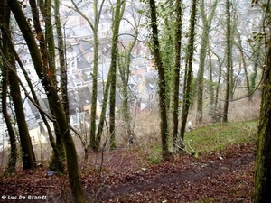 2010_02_07 Dinant 62