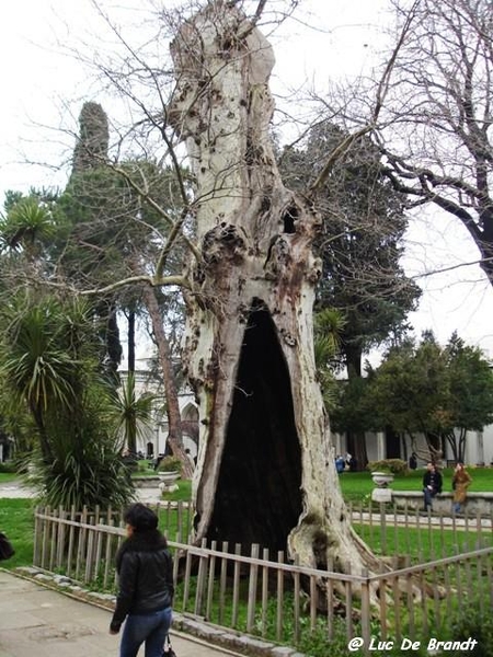 Istanboel Istanbul Turkije Turquie Turkey