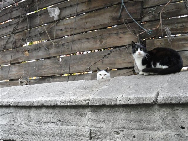 Istanboel Istanbul Turkije Turquie Turkey