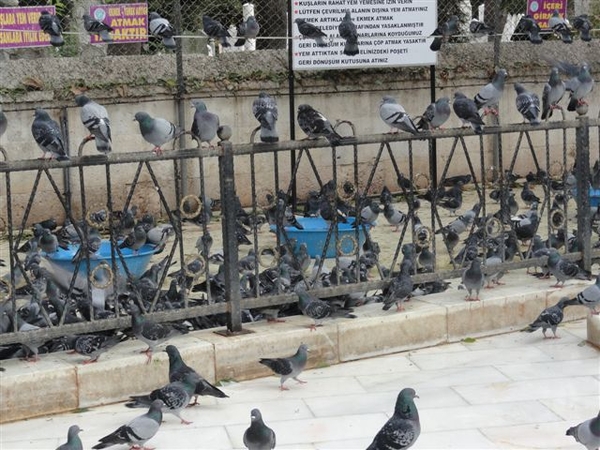 Istanboel Istanbul Turkije Turquie Turkey