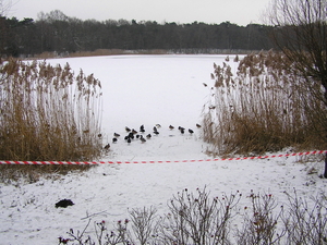 jan 2010 115