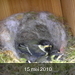 mei 2010 029