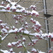 dec 2010 096
