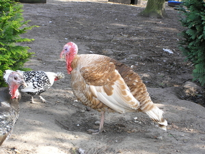 april 2011 073